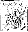 Map of first scene of Philip's War-for full-size image 'click here'