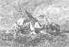 Drawing 'Exploit of Major Stobo.'