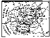 Map of third scene of Philip's war-For full-size image 'click here'